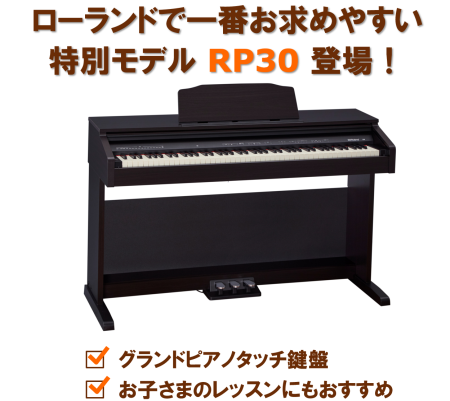 ROLAND RP30