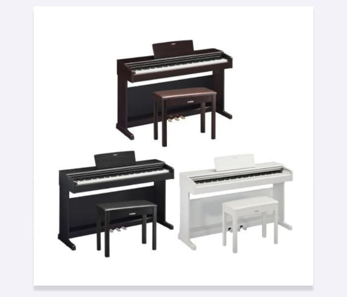 YDP-145単品