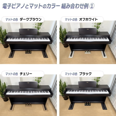 カラー見本①