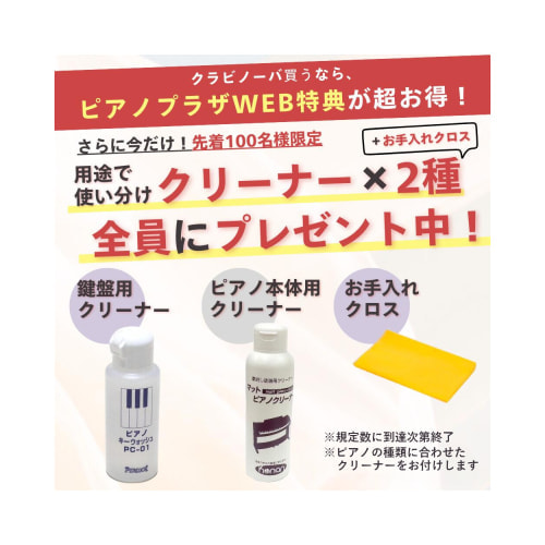 お手入れセットプレゼント